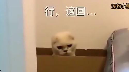 女生说在吃瓜子怎么回复